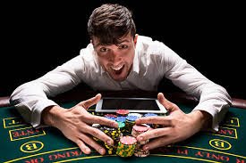 1xbet web